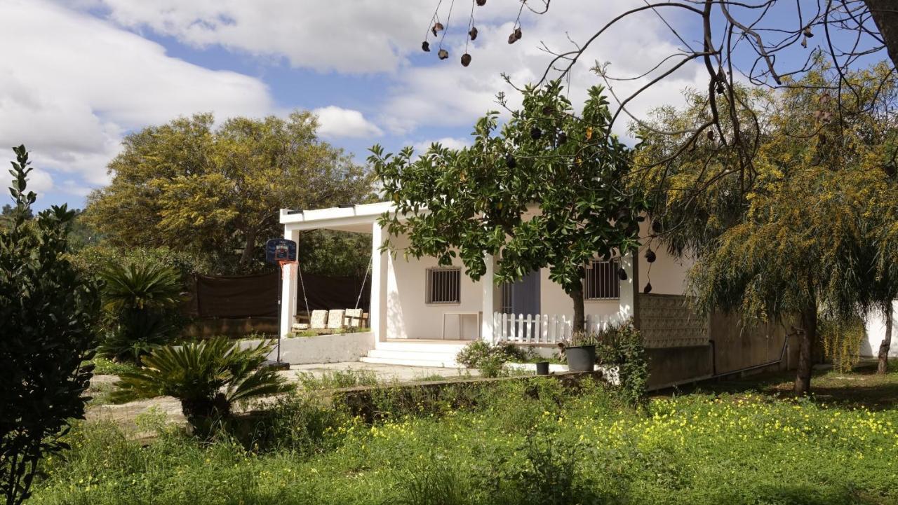 Casa Campo Con Piscina Y Barbacoa Para 6 Personas En Plena Naturaleza Picassent Buitenkant foto