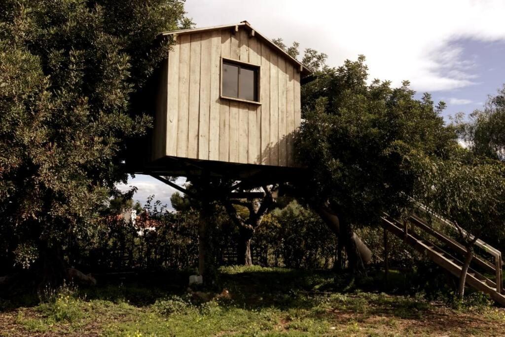 Casa Campo Con Piscina Y Barbacoa Para 6 Personas En Plena Naturaleza Picassent Buitenkant foto